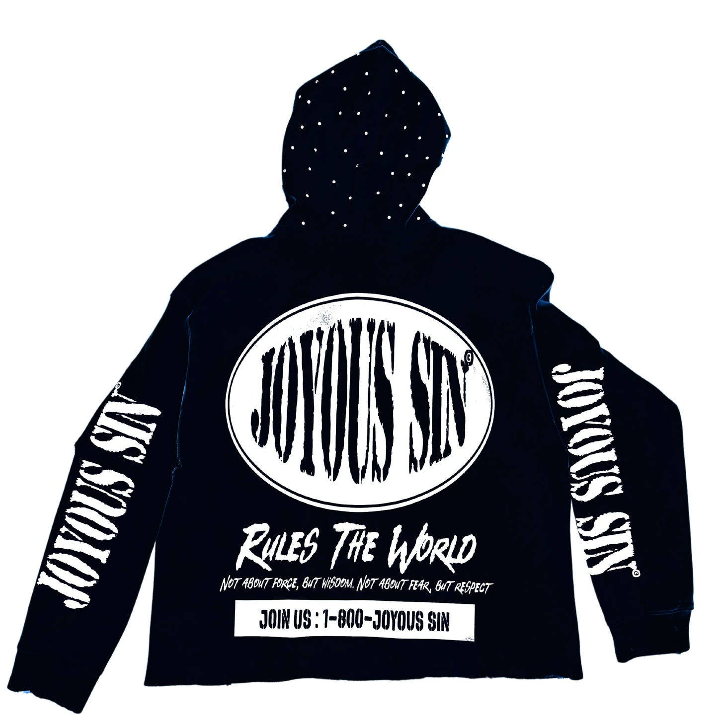 Rules The World Hoodie