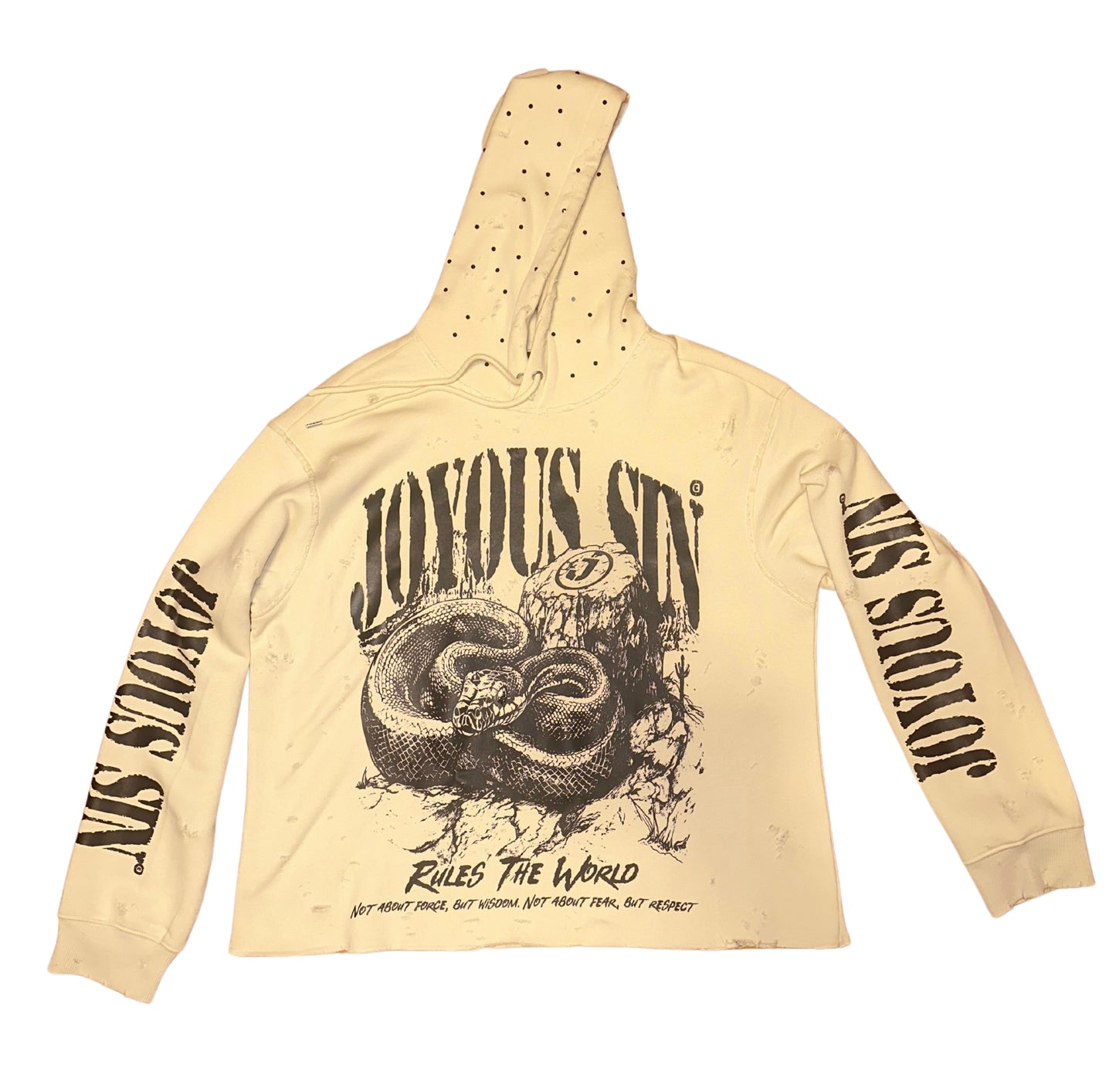 Rules The World Hoodie